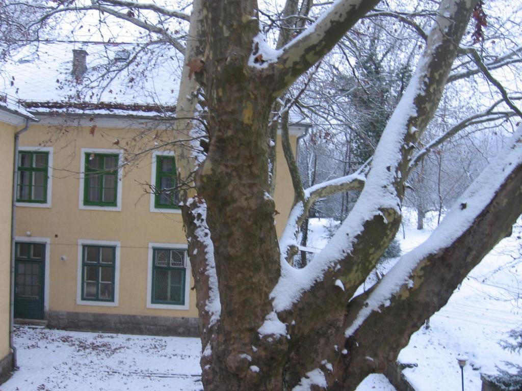 Gödöllő 玛特萨尔瓦托里斯旅馆酒店 外观 照片